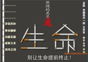 浏阳市平面设计与软件开发 融合创意与科技，打造品牌新动力