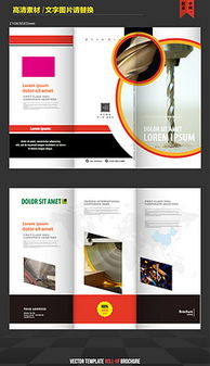 平面设计与软件开发 视觉创意与功能实现的双重艺术